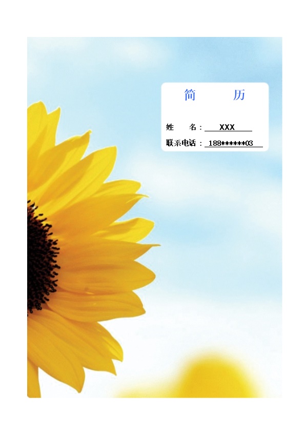 4456_服装设计类简历模板  - 文化艺术简历模板
